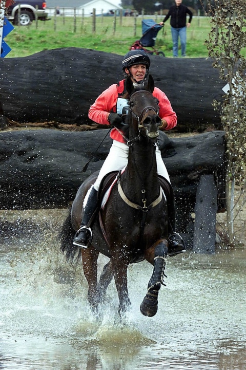 Sport Horses, Looking After Many Different Kinds Of Equine Athlete - The Waikato Veterinary Equine Centre, New Zealand